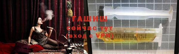 МДПВ Бородино