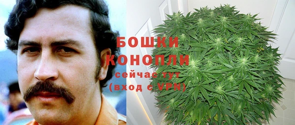 прущие крисы Арсеньев