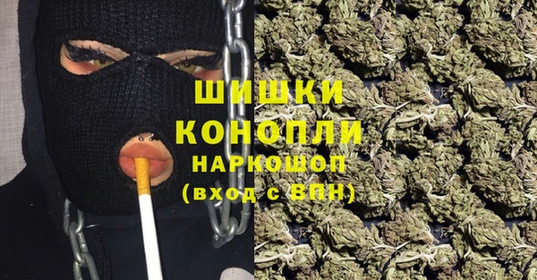 прущие крисы Арсеньев
