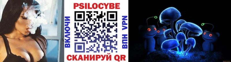 Псилоцибиновые грибы Psilocybine cubensis  Сосновоборск 