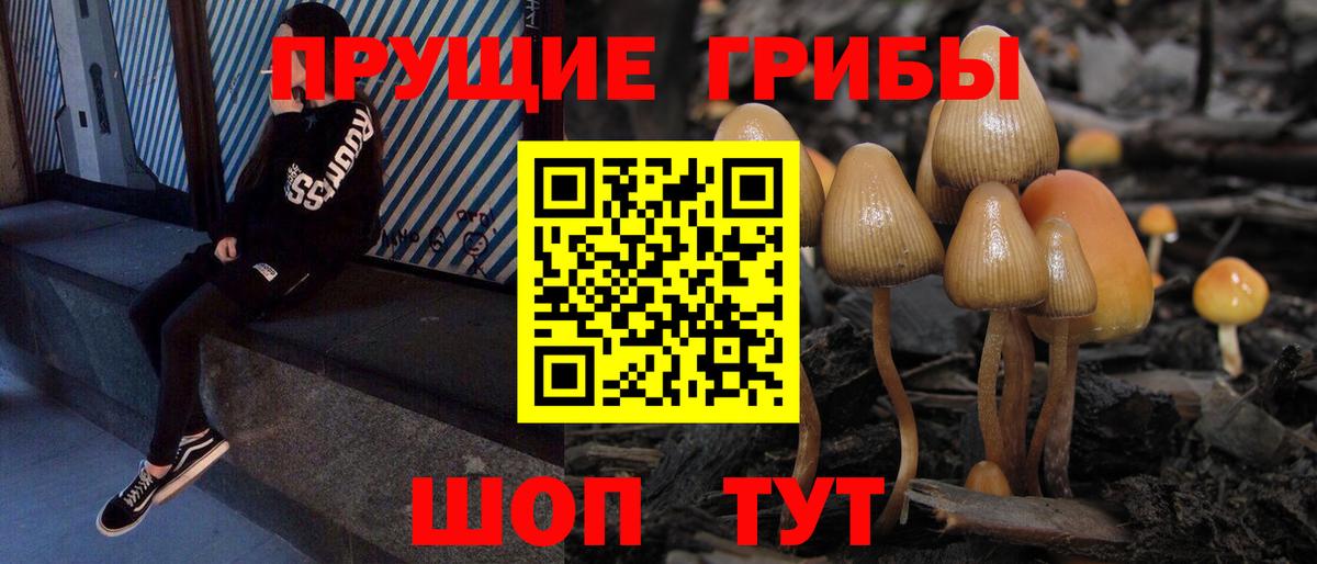даркнет сайт  Псилоцибиновые грибы прущие грибы  Вход с VPN  Сосновоборск 