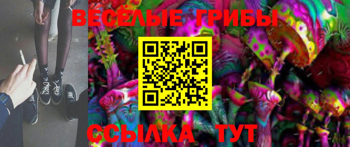 Псилоцибиновые грибы прущие грибы Сосновоборск