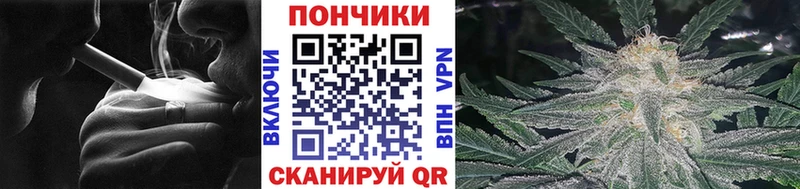 Шишки марихуана планчик  Сосновоборск 